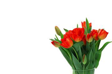 bouquet of red tulips, tulips in a vase