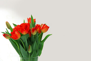 bouquet of red tulips, tulips in a vase