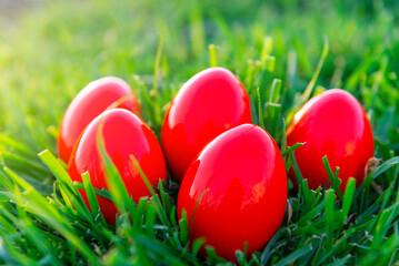 Easter eggs in grass.