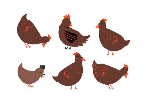 chicken characters, stylish brown chicken on white in various poses