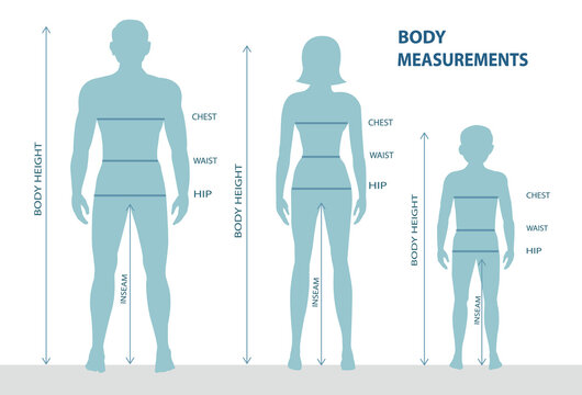 A silhouette of a full-length man, woman and boy with measurement lines of body parameters, male and female measurements, and children's measurements, human body measurements and proportions