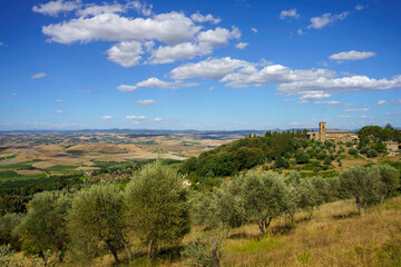 Rural landscape near Montalcino,Siena, Tuscany