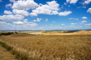 Obraz premium Rural landscape in Val d Orcia, Tuscany, Italy