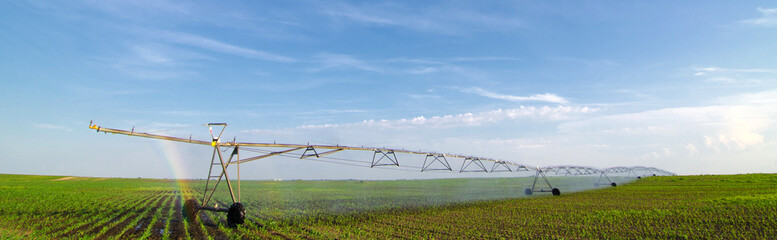 Agricultural irrigation system watering crops in summer