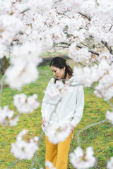 満開の桜の花と爽やかな女性