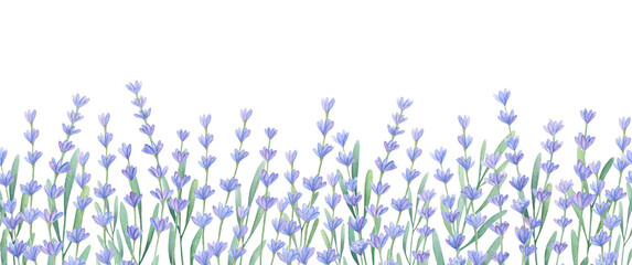 Lavender border watercolor illustration isolated on white background