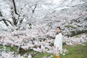 満開の桜の花と爽やかな女性