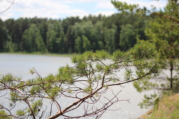 lake in the woods