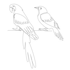 birds drawing in one continuous line, isolated vector