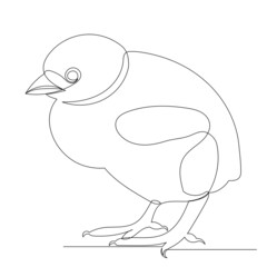 chicken drawing in one continuous line, isolated