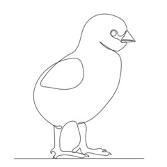 chicken drawing in one continuous line, isolated vector