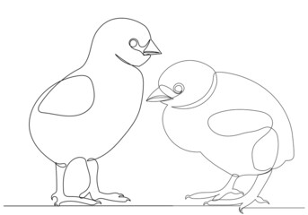 chickens drawing in one continuous line, isolated vector