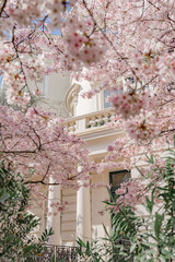 London in bloom, spring in London