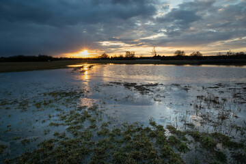 Fototapeta na wymiar Clouds and sunset over the flooded and frozen meadow, Nowiny, Poland