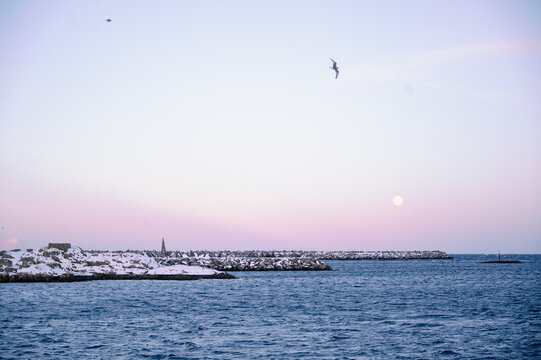 Moon And Birds At Day Light In Mystic Pink Fog