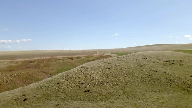 A Drone Flies Over A Ridge In The Eastern Washington Channeled Scablands, Covered With Tumbleweed And Sagebrush, 4K, 60FPS. The Landscape Was Carved By The Ice Age Floods.