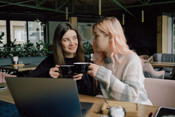 two happy young women sitting in coffee shop looking at laptop computer