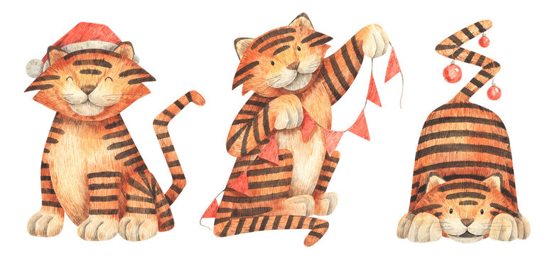Christmas watercolor illustration of three tigers with garland of flags, Santa Claus hat and Christmas tree toys. Cute hand-drawn picture of symbol of the New Year.