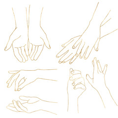 Watercolor linear set of gold hands poses. Hand painted abstract fingers shapes isolated on white background. Minimalistic gold linear illustration for design, print, fabric or background.