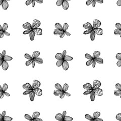 Repeating floral vector pattern. Ink seamless background with florals motifs. Chamomile or daisy painted by brush with veins. Dry brush style floral modern motives. Sketch drawing in vintage style