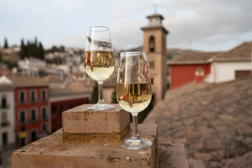 Tasting of sweet and dry fortified Vino de Jerez sherry wine with view on roofs and houses of old andalusian town