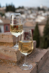 Tasting of sweet and dry fortified Vino de Jerez sherry wine with view on roofs and houses of old andalusian town