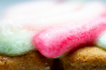 Extreme macro of glazed gingerbread cookie