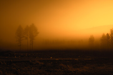 Fototapeta na wymiar Sonnenuntergang im Nebel