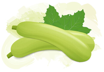 Set of two Bottle Gourd vegetable vector illustrations with bottle gourd leaves isolated on white background