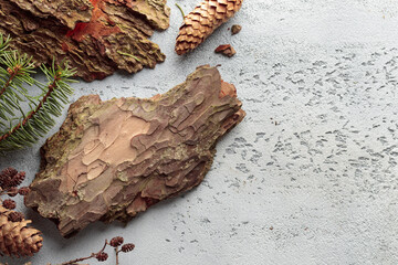 Pine bark with cones top view