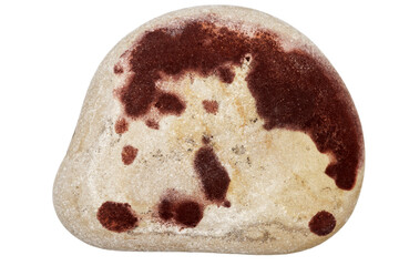 Top view of single gray and red pebble