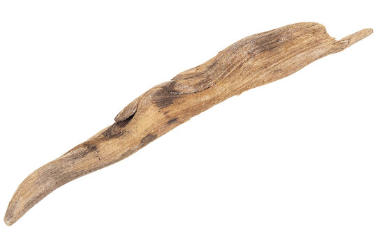 Piece Of Driftwood Isolated On White