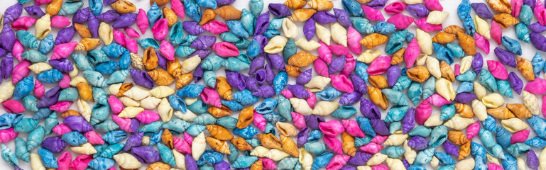 Multicolored seashells, top view. Background and texture. The concept of vacation, travel to the sea