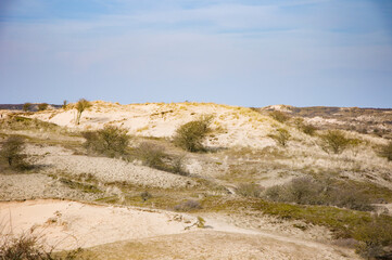 Dunes in Netherlands. Beautiful spring landscape.