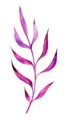 Watercolor pink branches illustration border