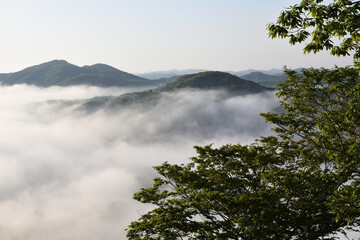 Sea of clouds in early morning