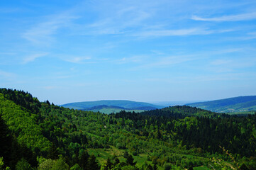 Fototapeta na wymiar View of the Ukrainian Carpathian mountains covered with green forest under a blue sky on a spring day