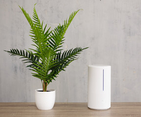 air humidifier and potted houseplant over grey background