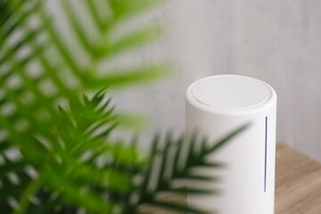 close up of modern air humidifier and houseplant in living room