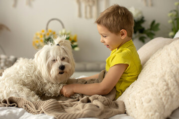 Cute little preschool boy with his pet dog, playing together in bed