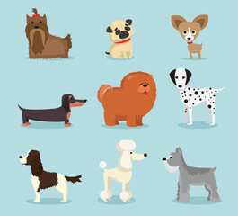 Cute dogs collection. Vector illustration of cartoon different breeds dogs, alaskan malamute, corgi, samoyed, border collie, doberman pinscher and pug in flat style.