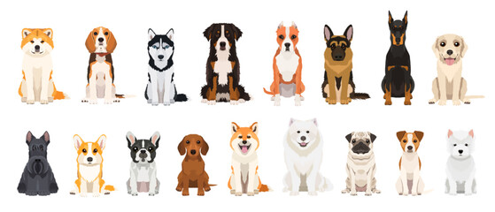 Big vector set of different dog breeds - obrazy, fototapety, plakaty