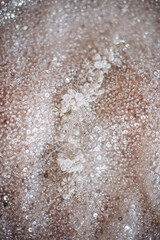 wedding decorations layout top view