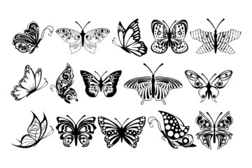 Illustration of many butterflys pattern. Black Sketch butterflys on white background.
