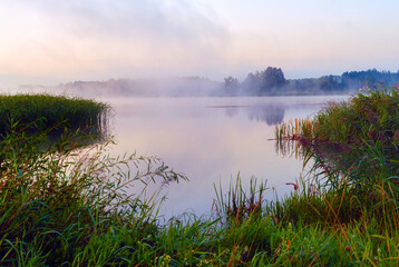 Poranek nad stawem, mgła, rosa, Podlasie, Polska