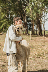 teenager boy playing with an alpaca on natural background, llama on a farm, domesticated wild...