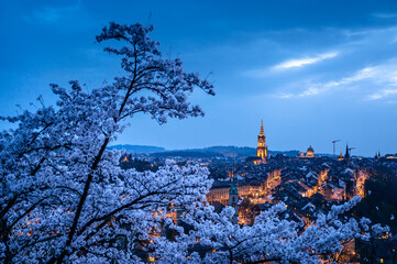 view from Rosengarten over the historic center of Bern during cherry blossom in spring