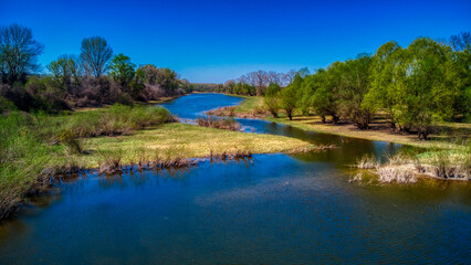 lake in the forest