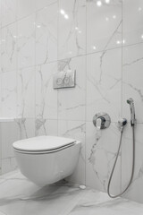 bathroom interior with white toilet and bidet - obrazy, fototapety, plakaty