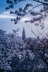 blue hour from Rosengarten with a beautiful view over Bern